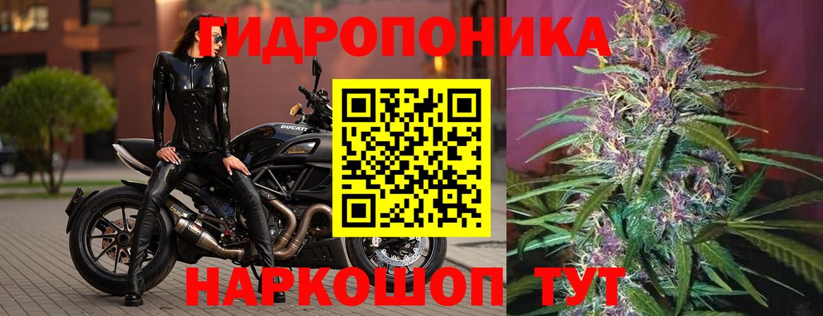 Гусиноозёрск  Бошки Шишки Bruce Banner  Бошки Шишки OG Kush  Вход с VPN 